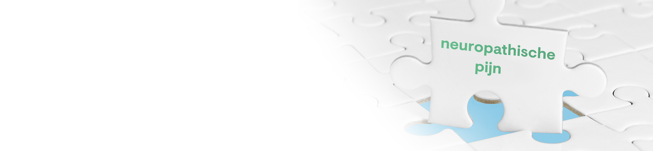 Pijnpuzzel on demand webcast